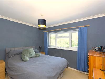 Picture 16